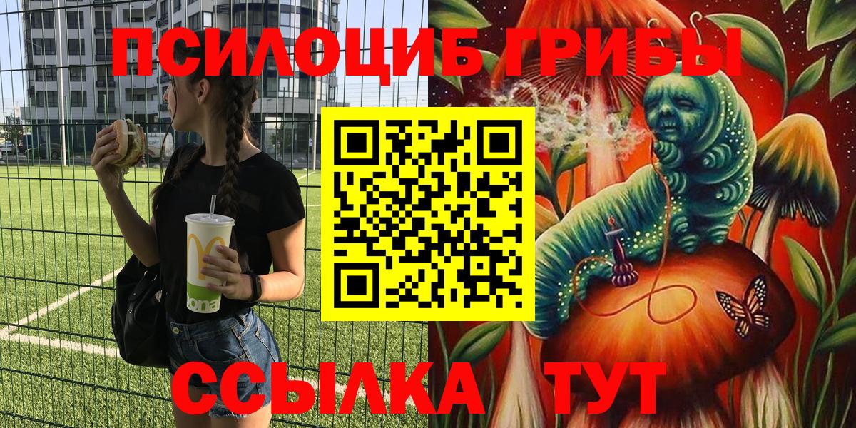 Псилоцибиновые грибы GOLDEN TEACHER Кольчугино