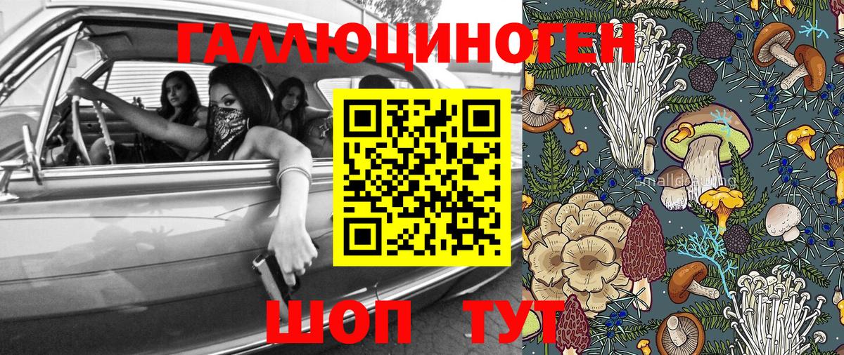 Кольчугино  Псилоцибиновые грибы Magic Shrooms  Вход с VPN  Псилоцибиновые грибы MAGIC MUSHROOMS 